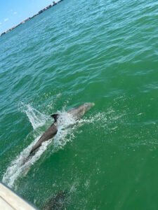Gulf Coast Yacht Rental