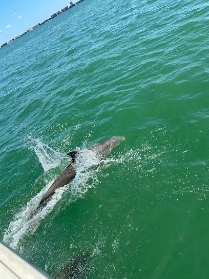 Gulf Coast Yacht Rental