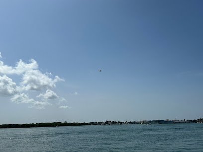 Pier Pleasure Excursions