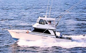 XTC Sportfishing