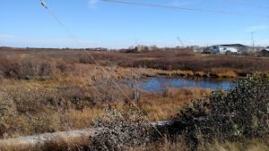 Kuskokwim Backwater Approach