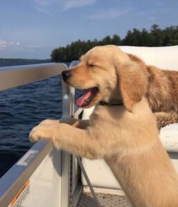 Hayward Wi Pontoon Rentals