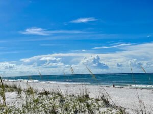 Deluna Marine Management LLC