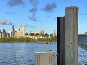 Red Dragons Miami Dragon Boat Racing Team