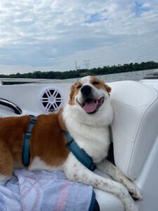 Freedom Boat Club Nashville – Gallatin
