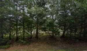 Little Locals Nursery School