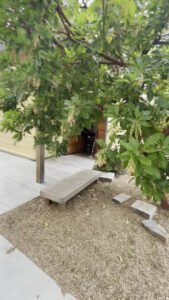 Friends of Potrero Hill Nursery School